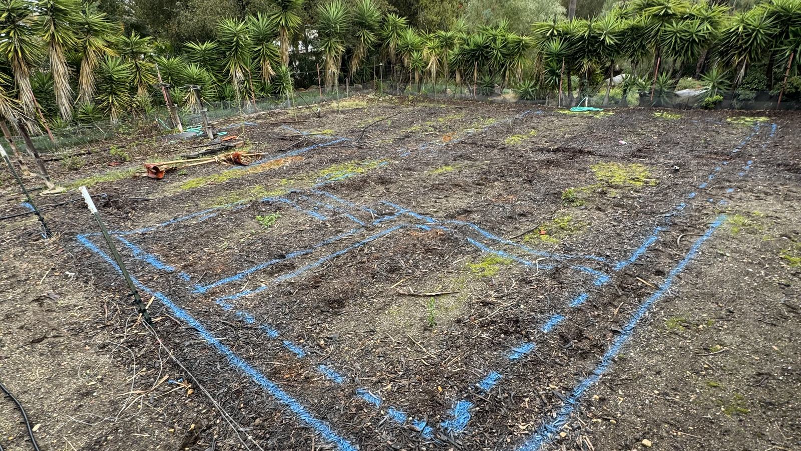 Chalk layout marked out on the bare site before excavation