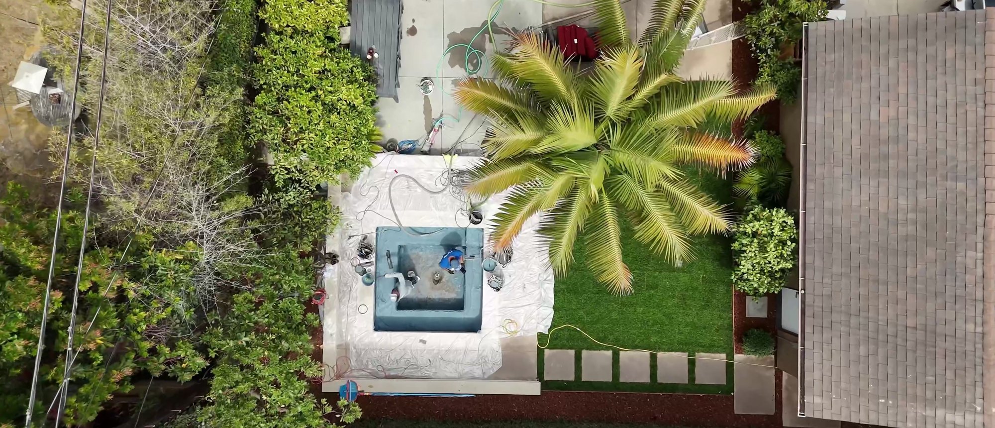 Compact pool with raised spa, palm and lawn on a tight lot, seen from above